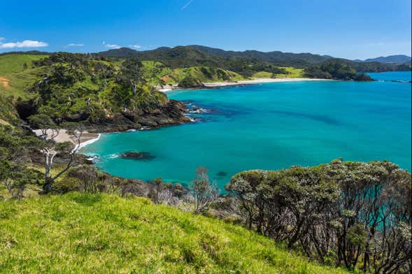 Excursión a Bahía de las Islas