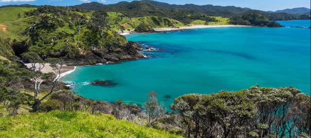 Excursión a Bahía de las Islas