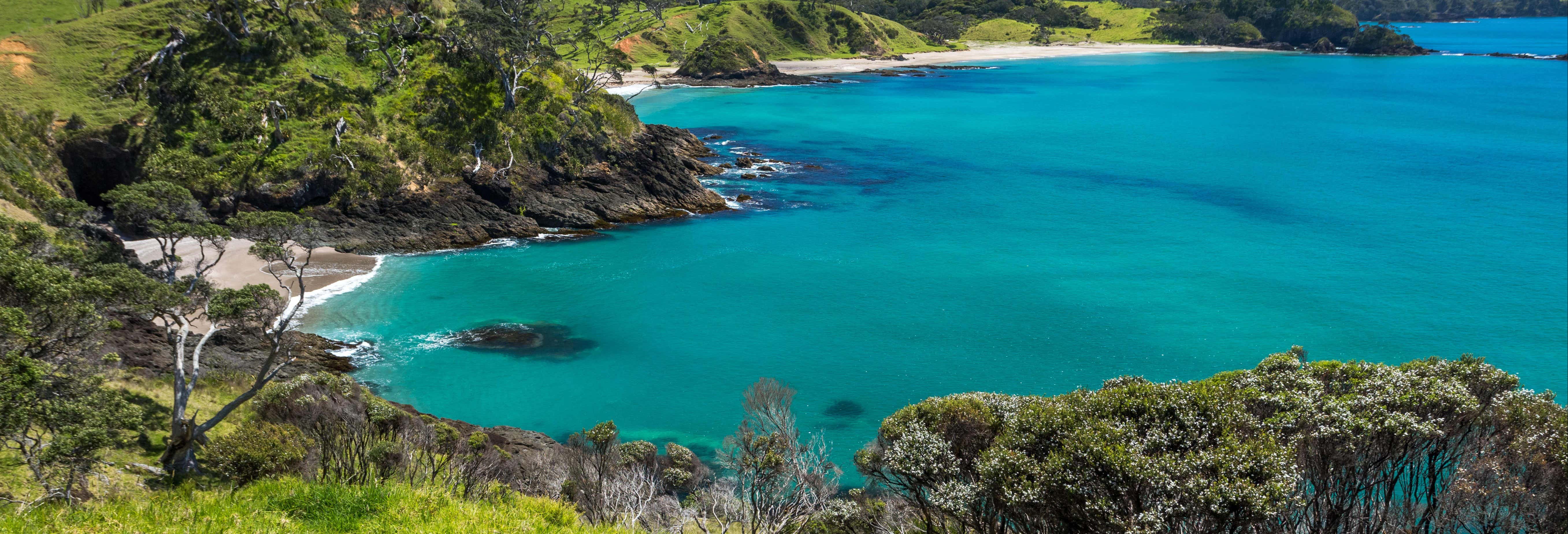 Escursioni di un giorno a Auckland