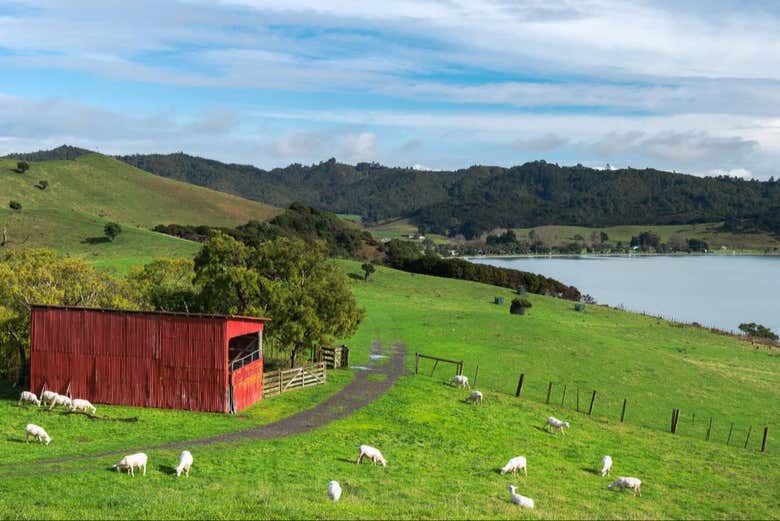 Os animais de fazenda