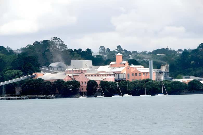 Viendo la refinería de azúcar Chelsea