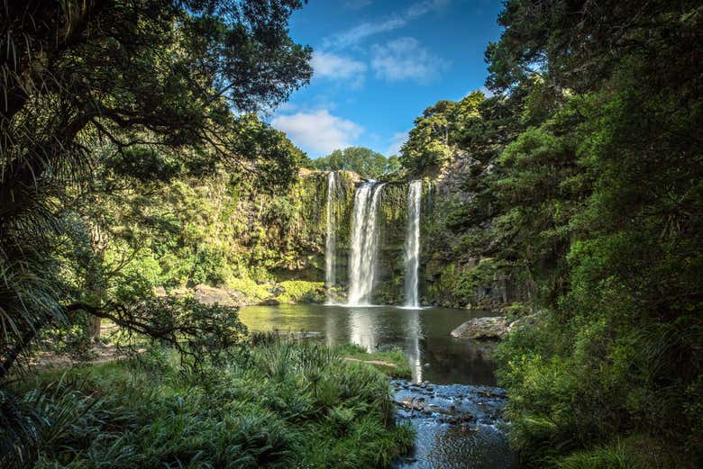 Cascade de Whangarei