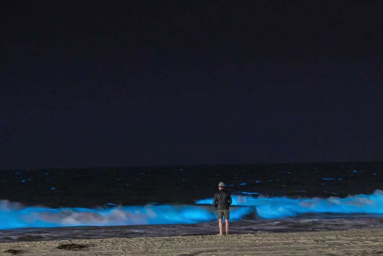 Contemplando a luminescência