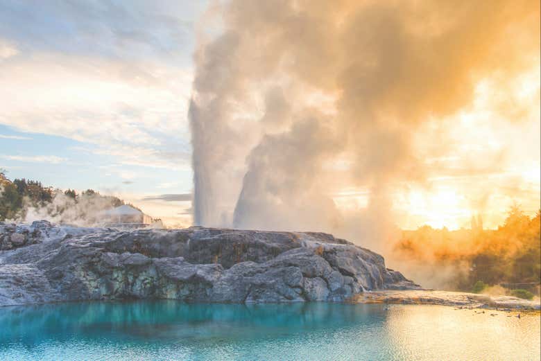 Geyser Pōhutu
