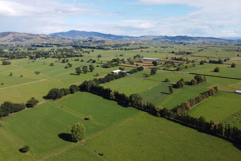 Région agricole de Waikato