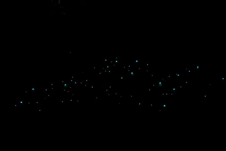 Un espectáculo lumínico que os dejará sin palabras