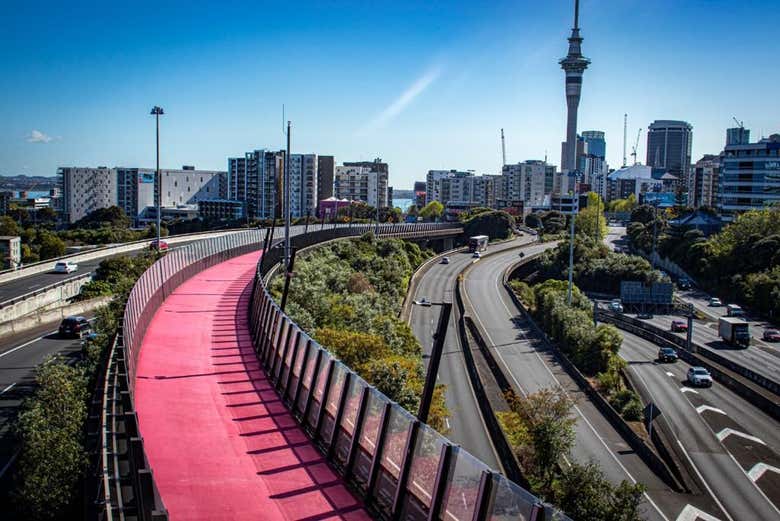 Auckland Bike Rental Book Online at