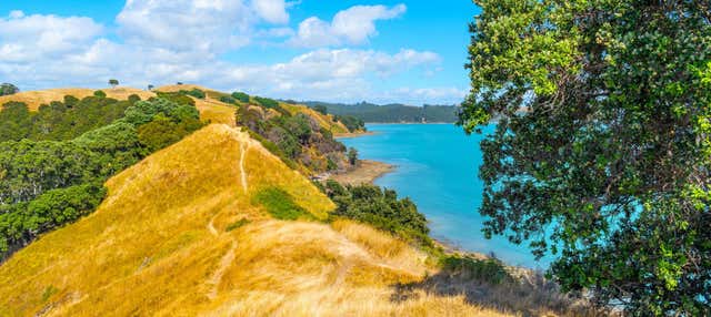 Duder Regional Park Hiking Tour