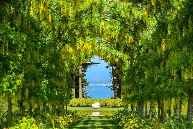 Vistas del mar desde los Jardines de Larnach