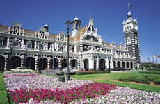 Visite dans Dunedin