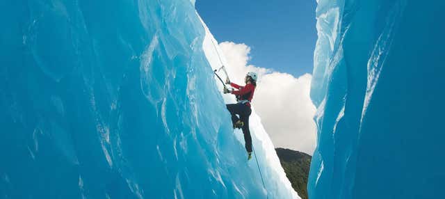 Trekking por el glaciar Franz Josef + Vuelo en helicóptero