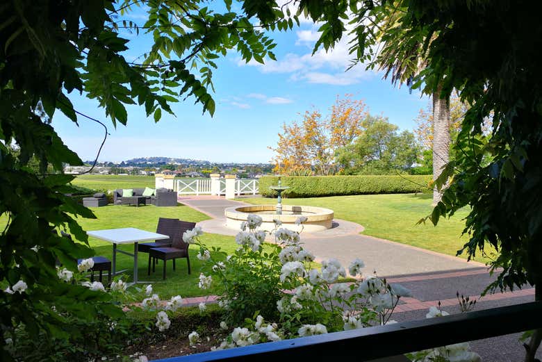 Un hermoso viñedo en Hawke's Bay