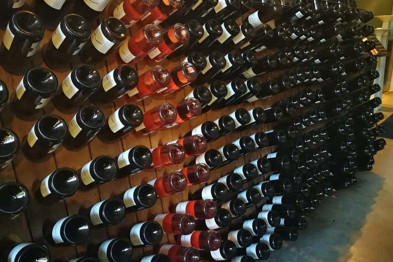 Aprenderemos sobre las prácticas vitícolas