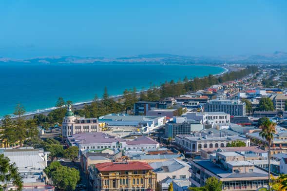 Tour por Napier y Hastings