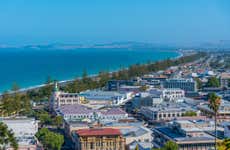 Tour por Napier y Hastings