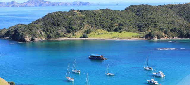 Excursión en barco por Bahía de las Islas