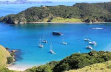 Excursión en barco por Bahía de las Islas