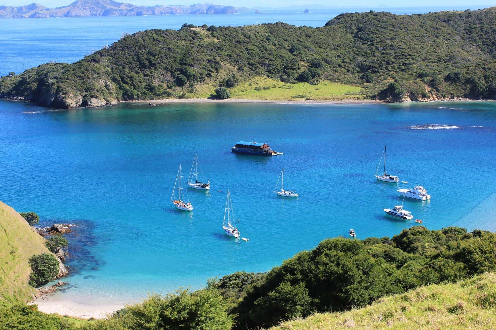 Escursione a Bay of Islands in barca