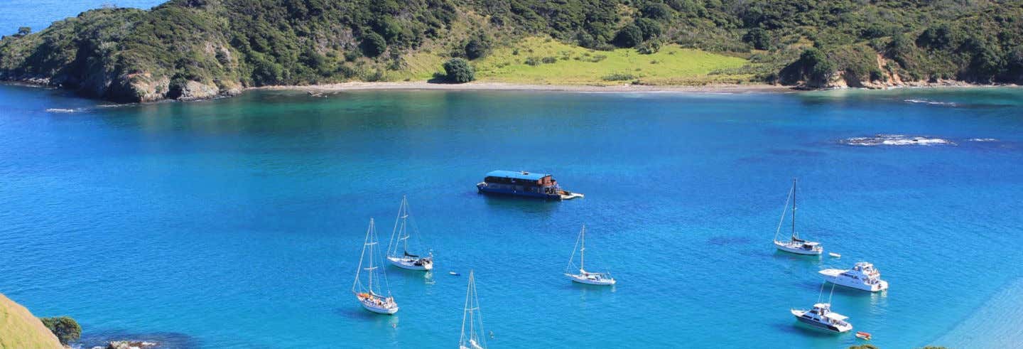 Paseos en barco en Paihia