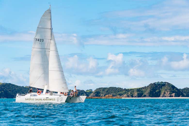 Sailing in the catamaran
