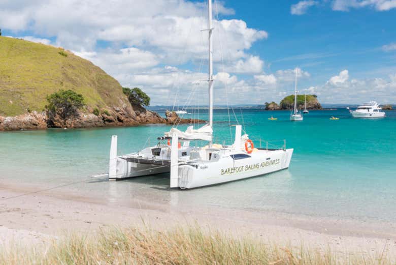 Catamarán para la excursión
