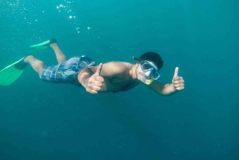 Snorkelling in the Bay of Islands