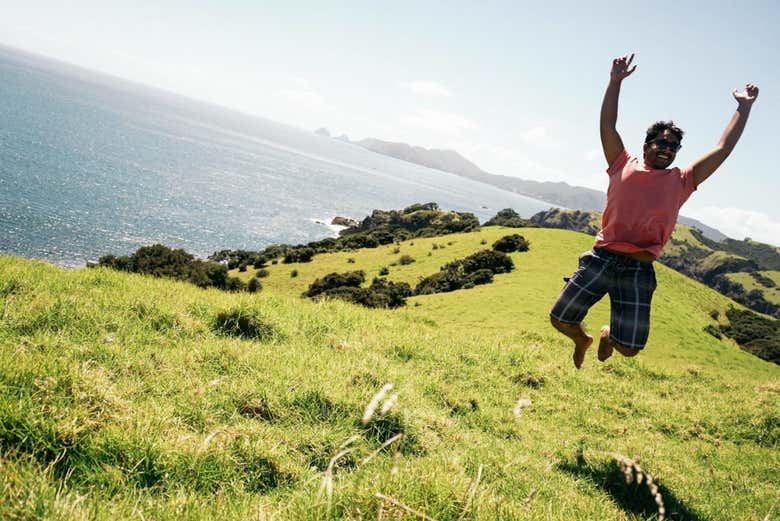Enjoying the Bay of Islands