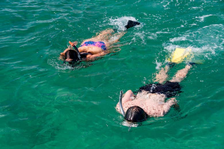 Practicando snorkel