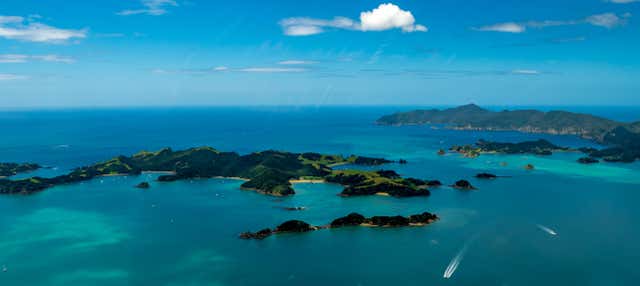 Tour en catamarán por Bahía de las Islas