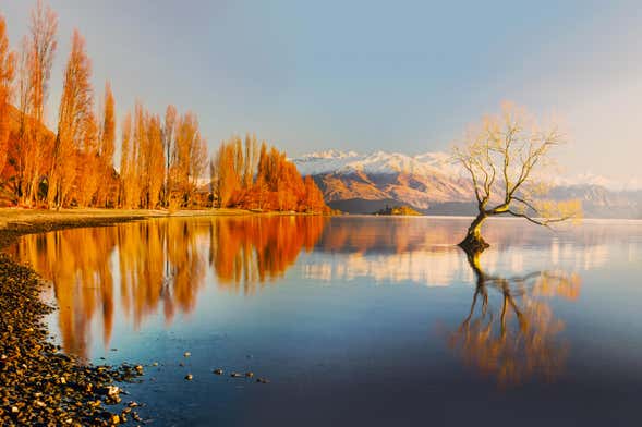 Excursión a Wanaka y Arrowtown