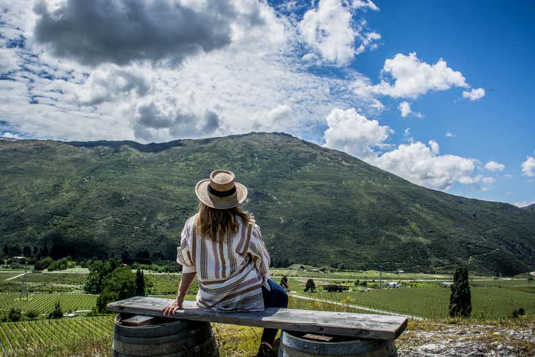 Contemplando los viñedos de Queenstown