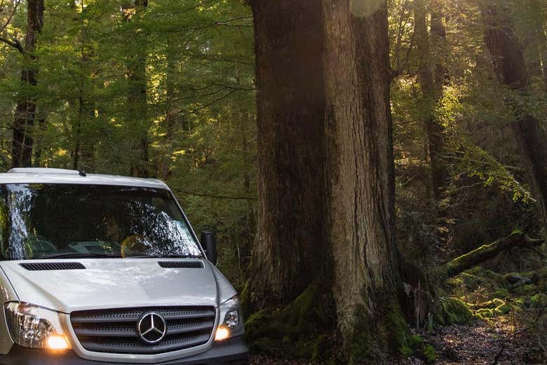 Recorriendo los increíbles paisajes del sur de Nueva Zelanda