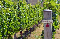 Tour da cerveja e vinho por Queenstown e Gibbston