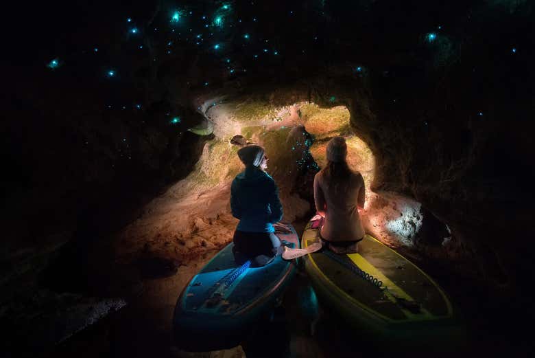 Admirando os fascinantes vaga-lumes e pirilampos