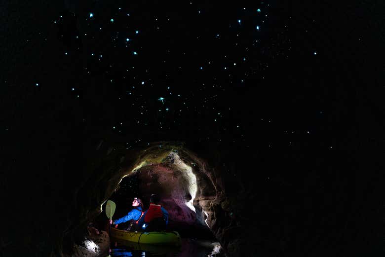 Les grottes abritent des milliers de vers luisants