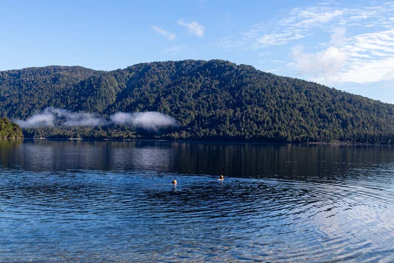 Kayak across stunning natural landscapes