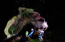 Tour delle Glow Worm Caves in kayak