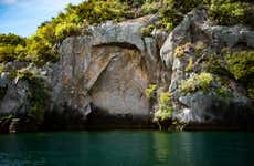 Māori Rock Carvings Sailing Tour