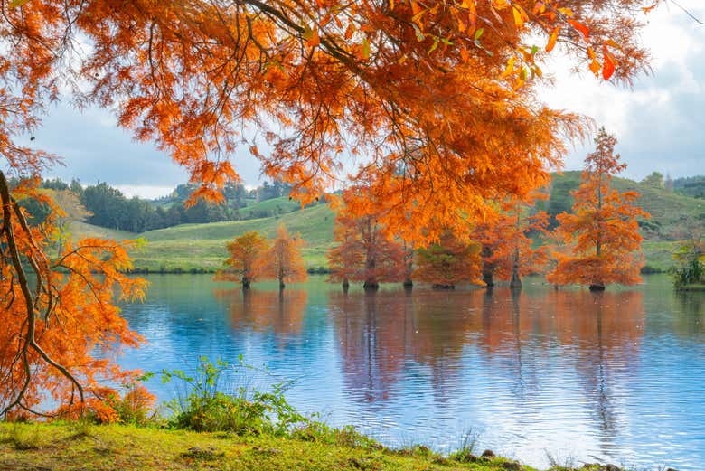 El lago McLaren con colores otoñales
