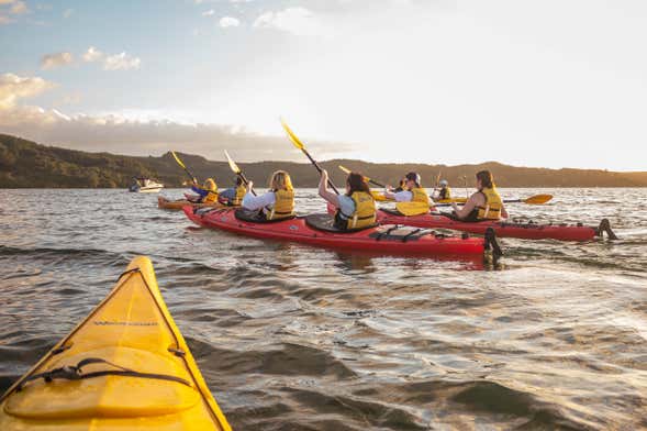 Tour en kayak por el lago McLaren