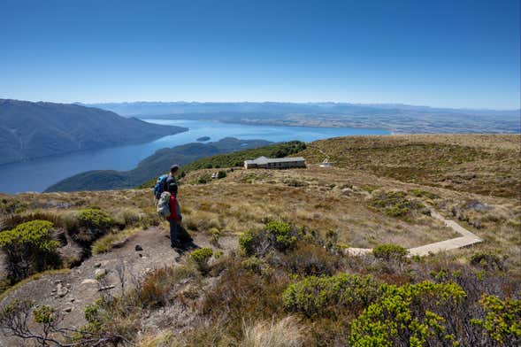 Helicóptero a Fiordland + Trekking por Luxmore Hut
