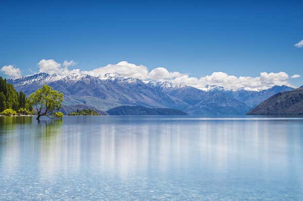 Paseo en barco por el lago Wanaka