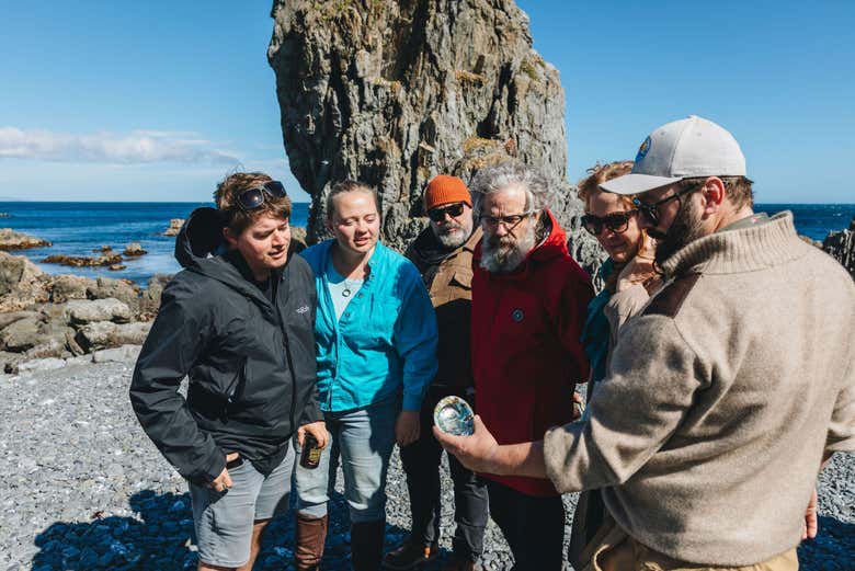 Découvrez tout sur la biodiversité de Wellington