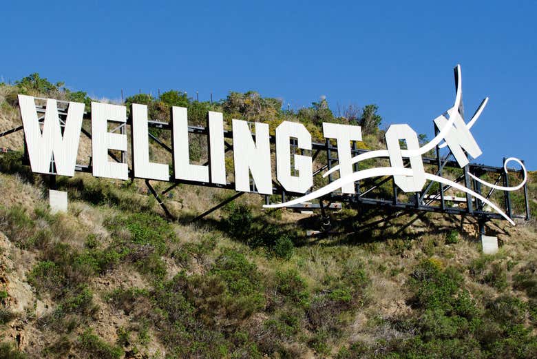 Welcome to Wellington