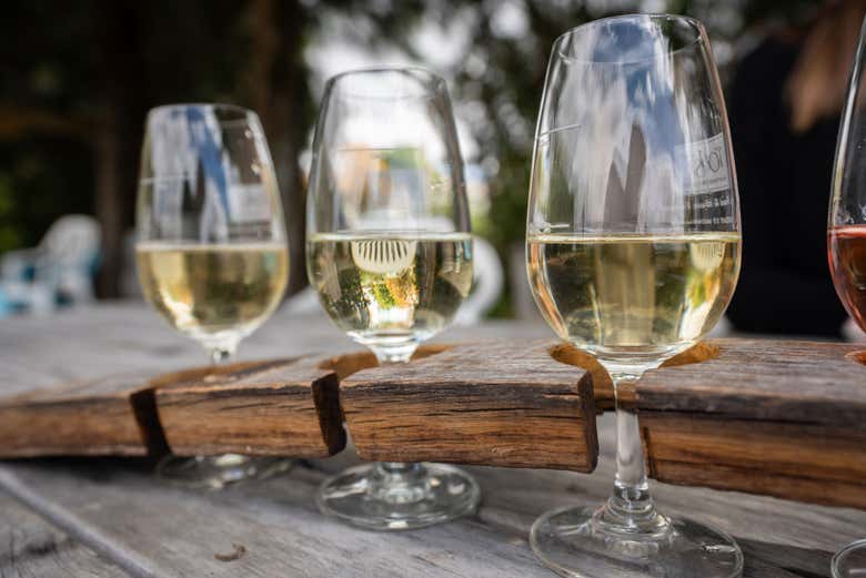 Tasting Martinborough wines