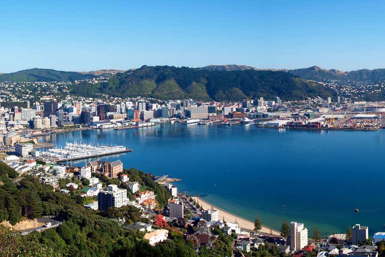 Wellington guided tour