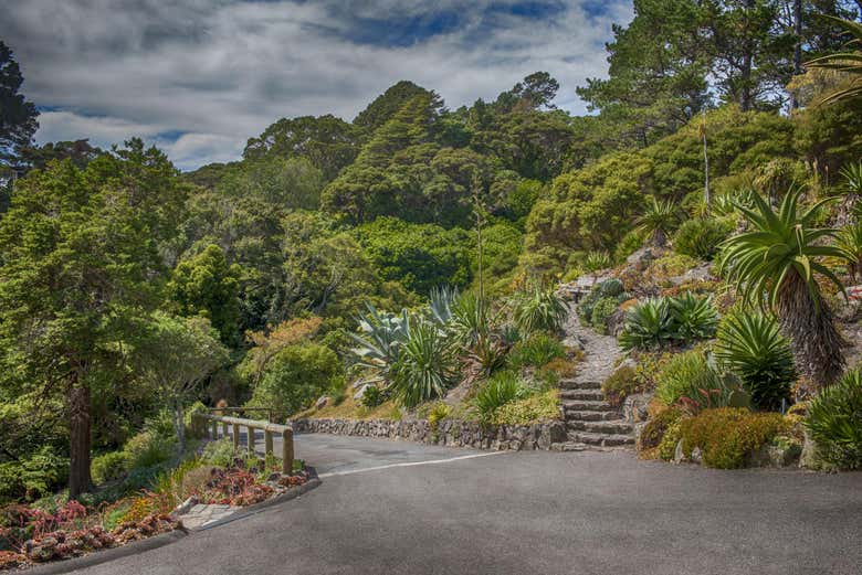 Wellington Botanical Garden