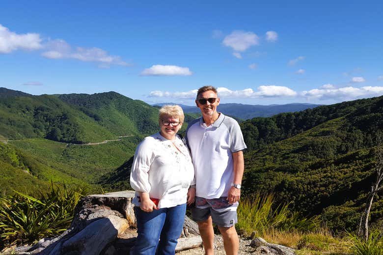 Remutaka  summit view