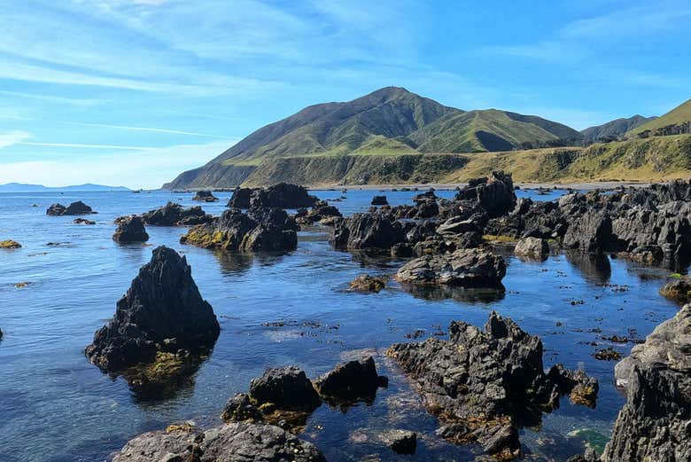 La costa de Wellington