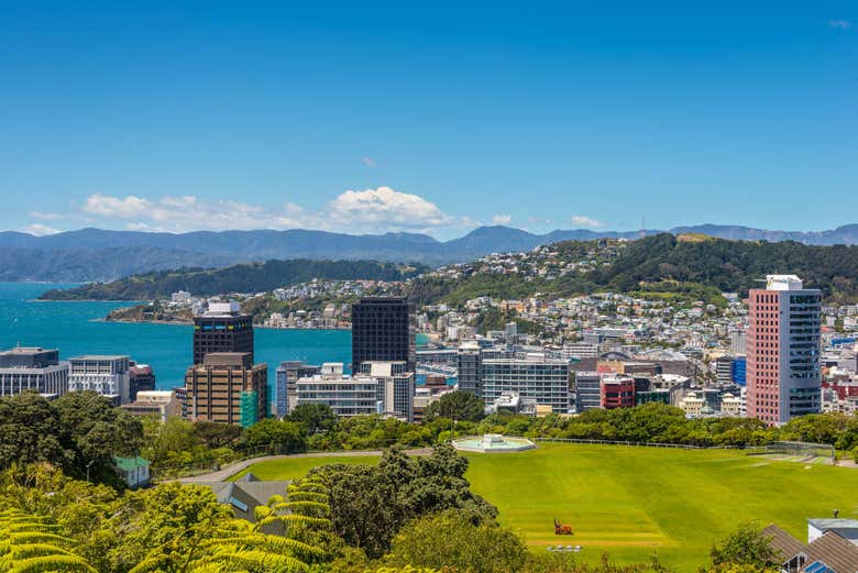 View of Wellington from Mount Victoria